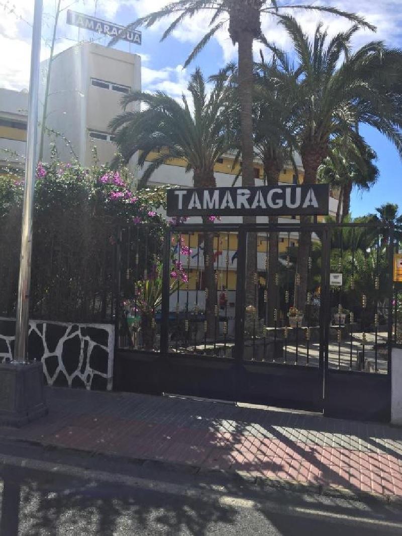 Apartamentos Tamaragua ปลายา เดล อิงเกลส ภายนอก รูปภาพ