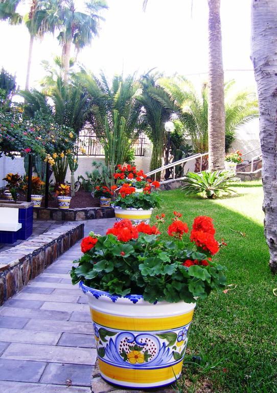 Apartamentos Tamaragua ปลายา เดล อิงเกลส ภายนอก รูปภาพ